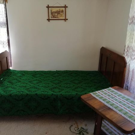 Villa Etno Kuca Nikolov Dimitrovgrad Esterno foto