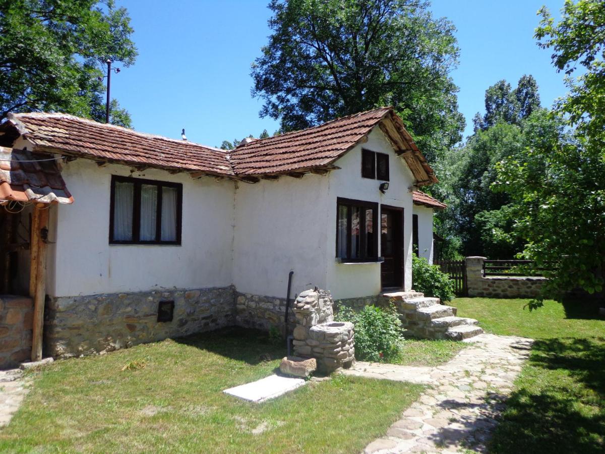 Villa Etno Kuca Nikolov Dimitrovgrad Esterno foto