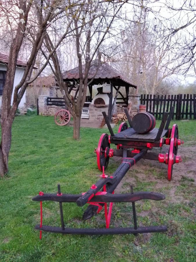 Villa Etno Kuca Nikolov Dimitrovgrad Esterno foto