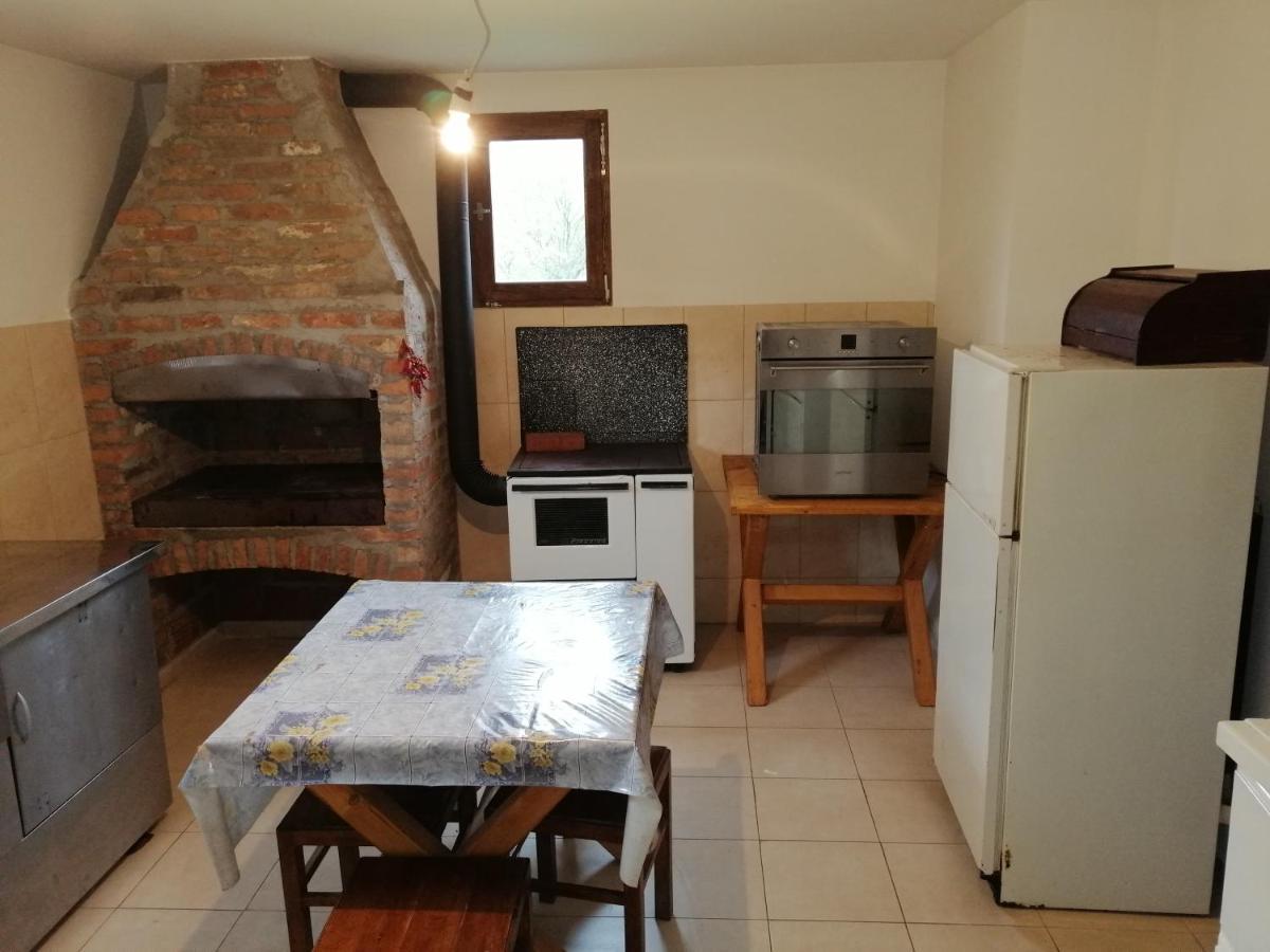 Villa Etno Kuca Nikolov Dimitrovgrad Esterno foto