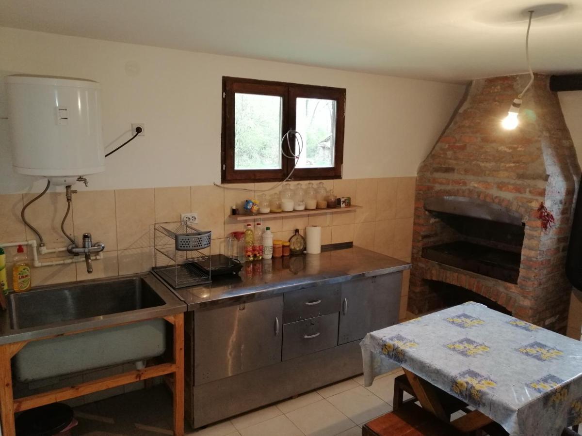 Villa Etno Kuca Nikolov Dimitrovgrad Esterno foto
