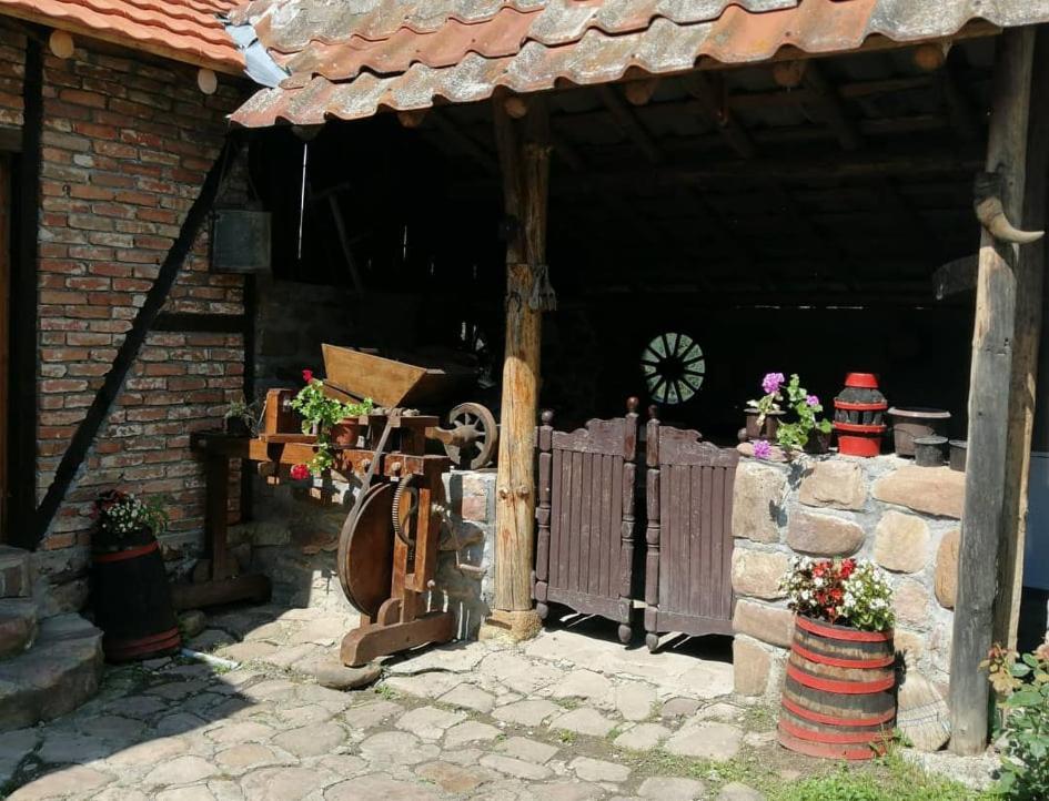 Villa Etno Kuca Nikolov Dimitrovgrad Esterno foto