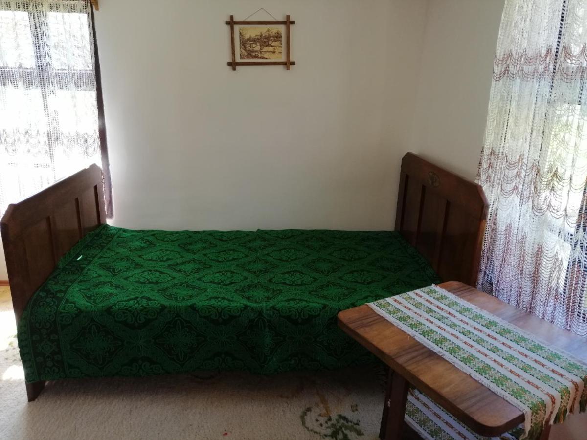Villa Etno Kuca Nikolov Dimitrovgrad Esterno foto