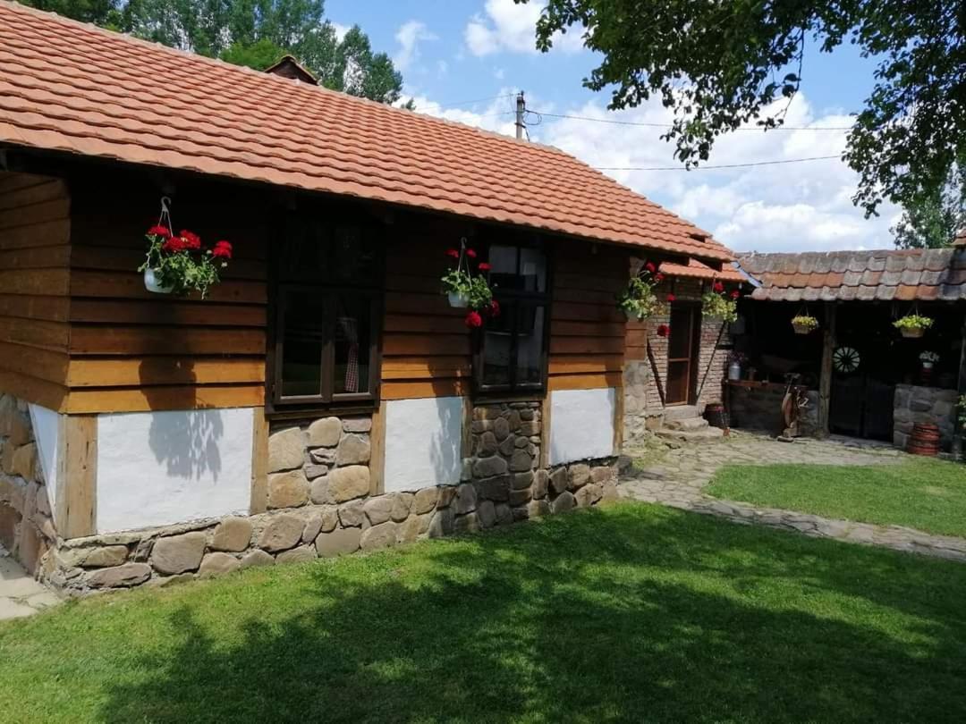 Villa Etno Kuca Nikolov Dimitrovgrad Esterno foto